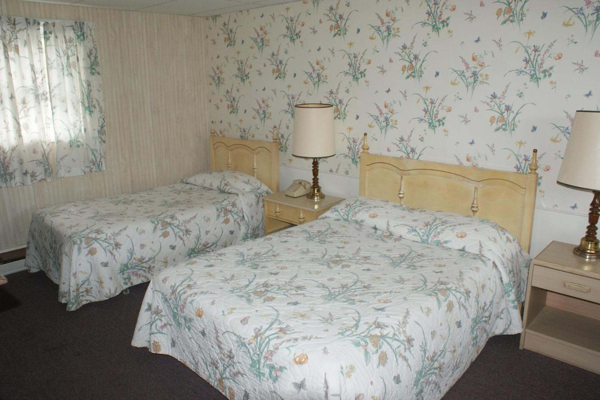 Northern Peaks Motor Inn ゴーラム エクステリア 写真
